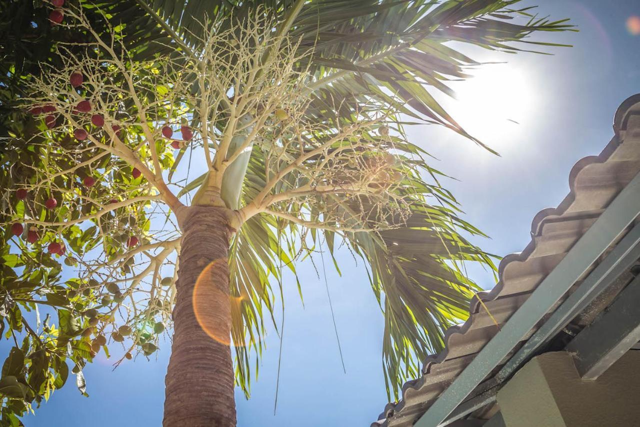 Mui Ne Hills Villa Hotel Ngoại thất bức ảnh